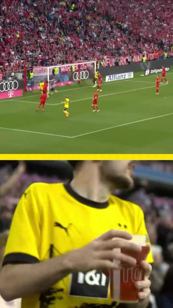 勇者無(wú)懼！這是真多特球迷！在拜仁球迷區(qū)一個(gè)人肆意慶祝！